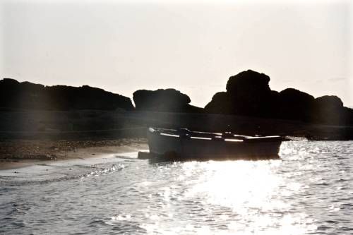 صورة الفندق 21
