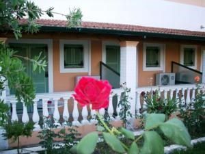صورة الفندق 3