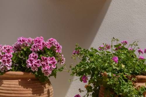 صورة الفندق 20