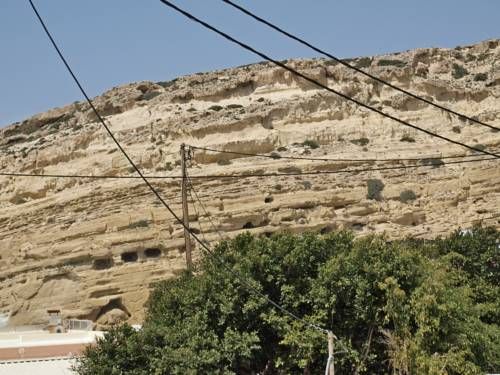 صورة الفندق 21