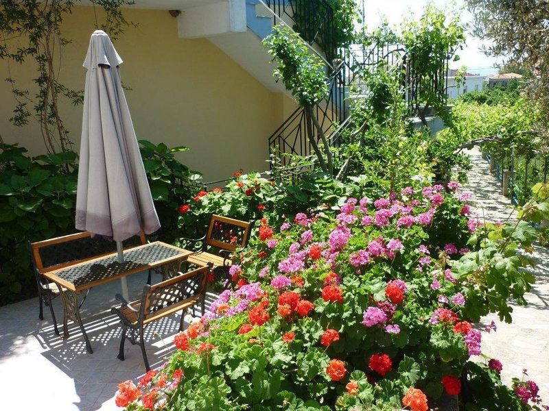 صورة الفندق 15
