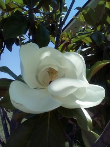 صورة الفندق 9