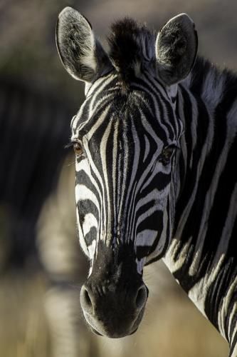 صورة الفندق 12