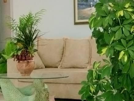 صورة الفندق 12