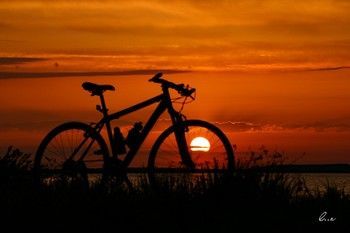 صورة الفندق 18