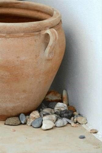 صورة الفندق 17