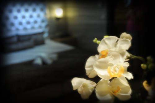 صورة الفندق 13