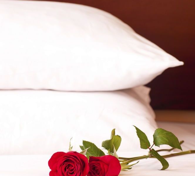 صورة الفندق 19
