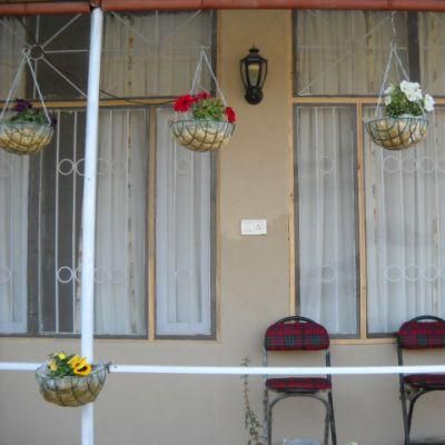 صورة الفندق 16
