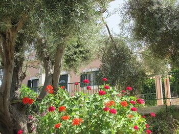 صورة الفندق 22