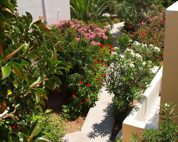 صورة الفندق 17
