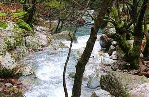 صورة الفندق 23