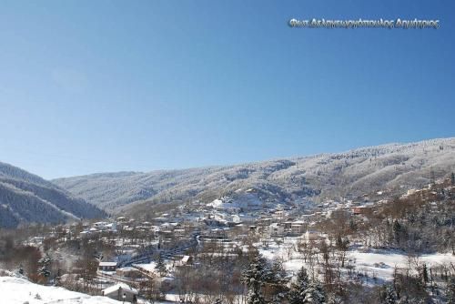 صورة الفندق 24