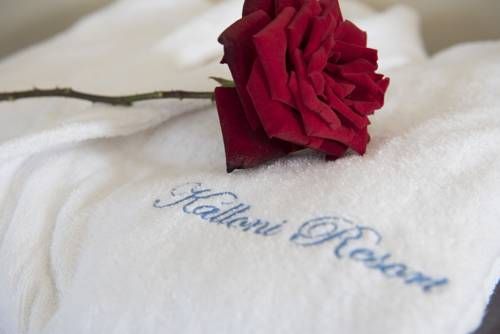 صورة الفندق 18