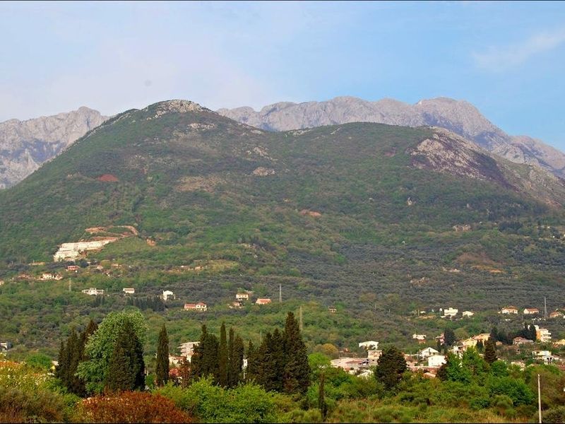 صورة الفندق 24