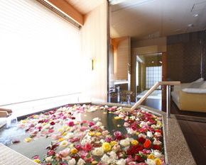 NearBy Hotel