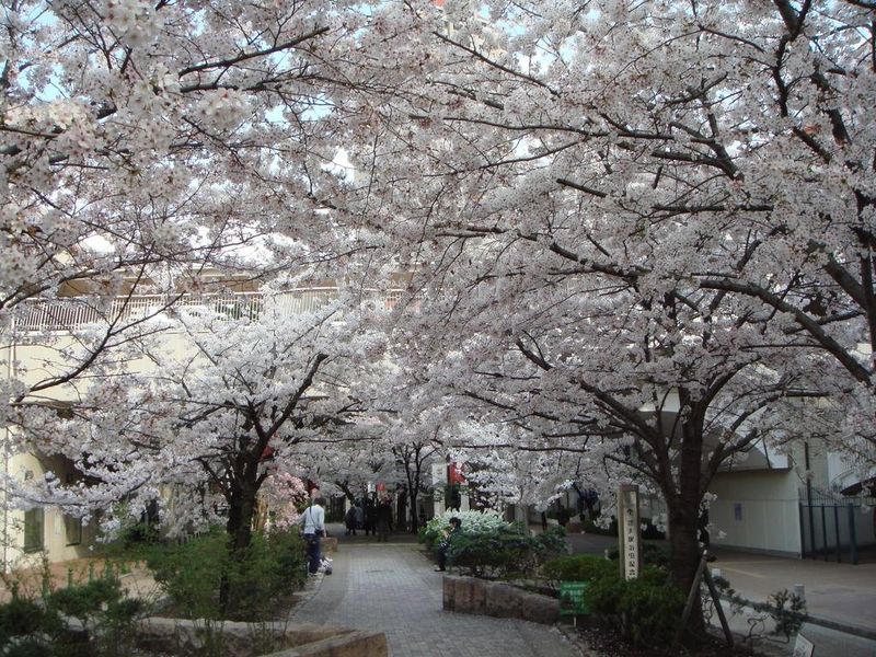 صورة الفندق 23