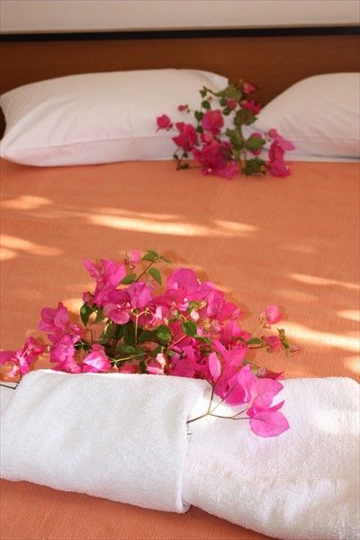 صورة الفندق 6