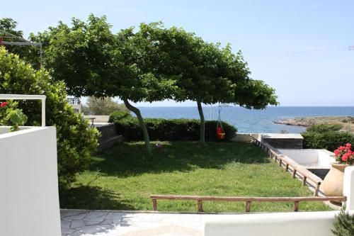 صورة الفندق 10