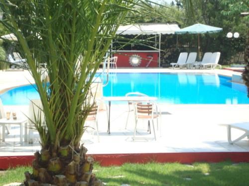 Hotel Photo 20