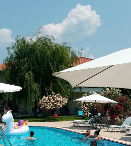 Hotel Photo 21