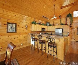 Ridgetop Retreat (#50) Holiday home Caton United States