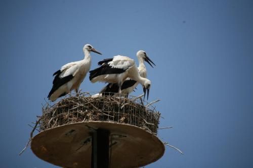 صورة الفندق 22