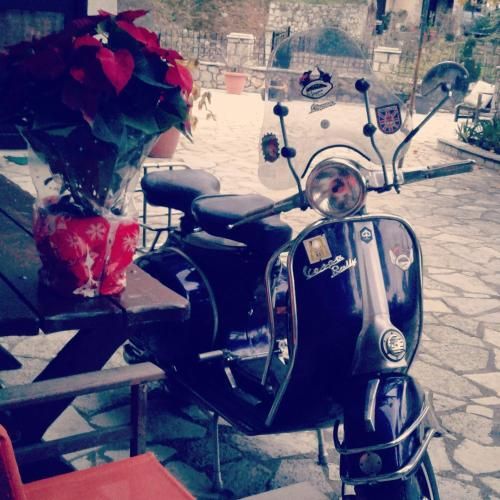 صورة الفندق 14