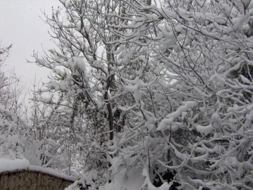صورة الفندق 18