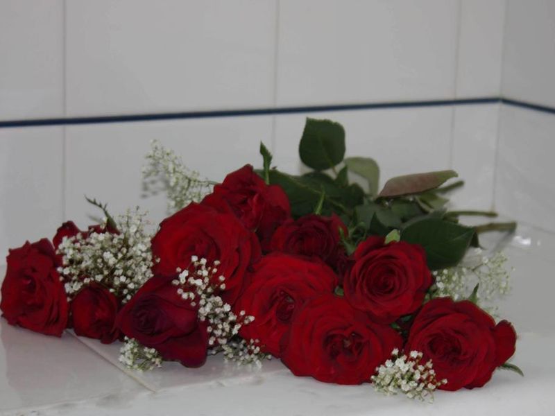 صورة الفندق 21