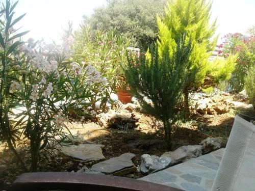 صورة الفندق 18