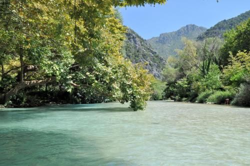 صورة الفندق 19