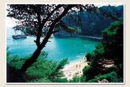 صورة الفندق 8