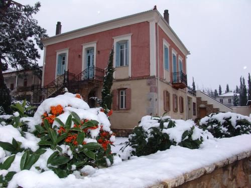 صورة الفندق 24