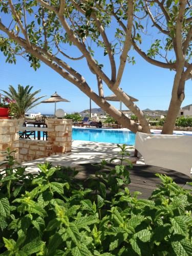 Hotel Photo 23