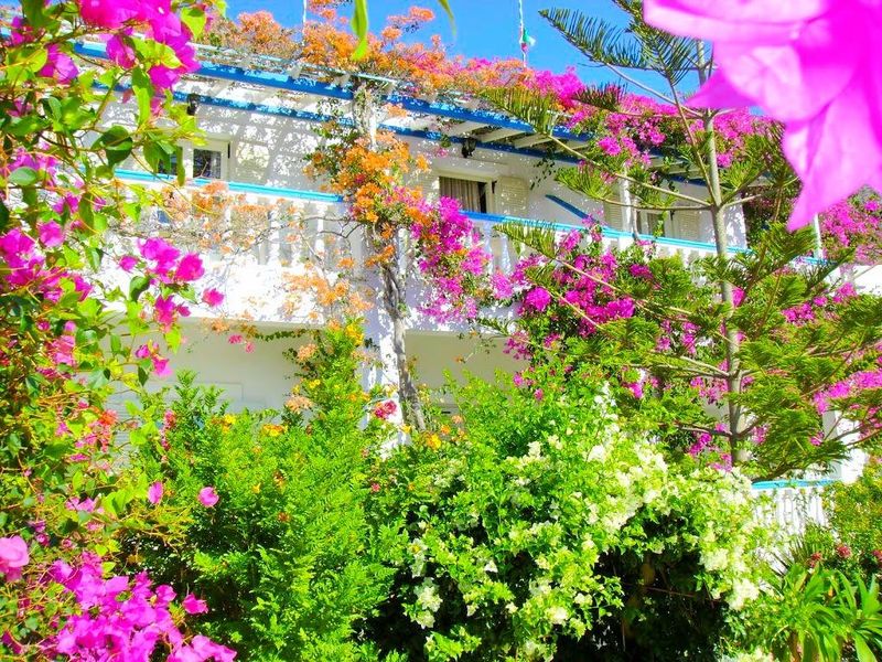 صورة الفندق 14