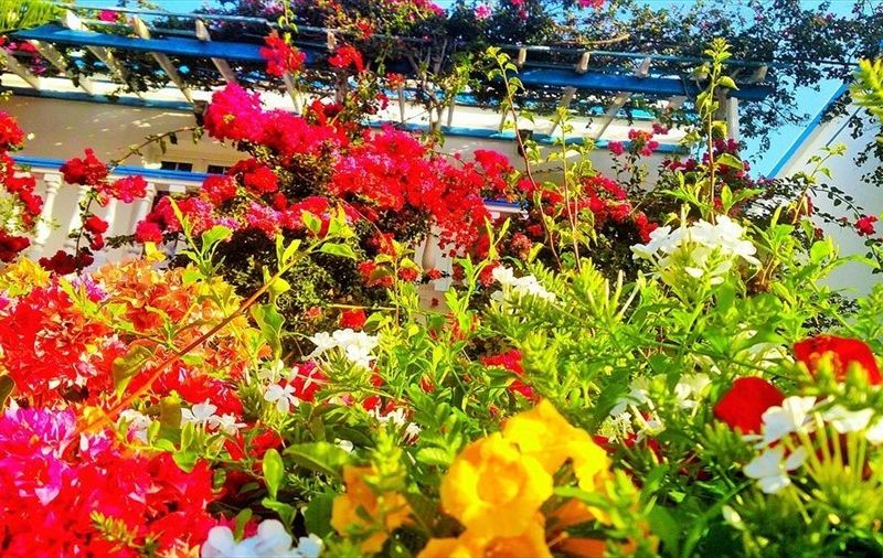 صورة الفندق 15