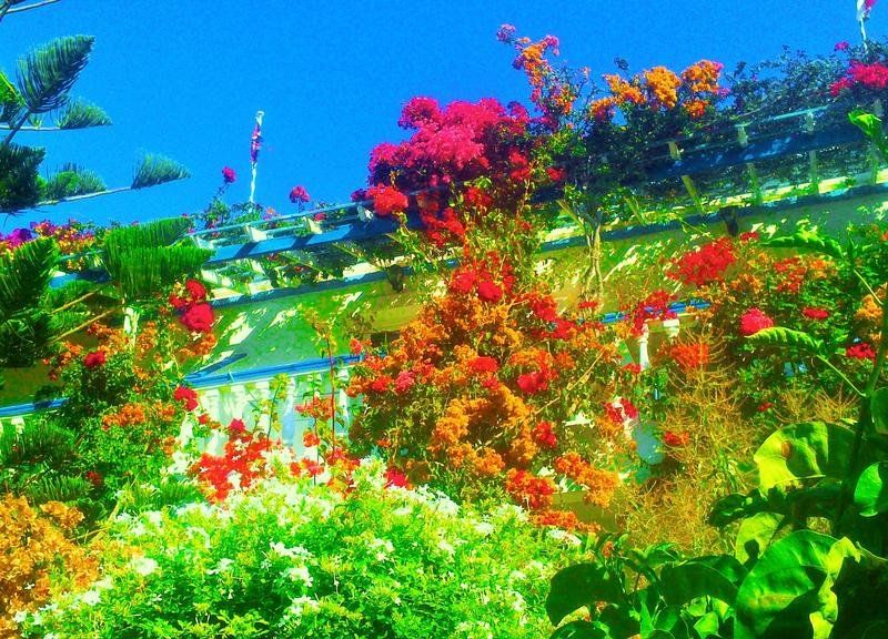 صورة الفندق 16