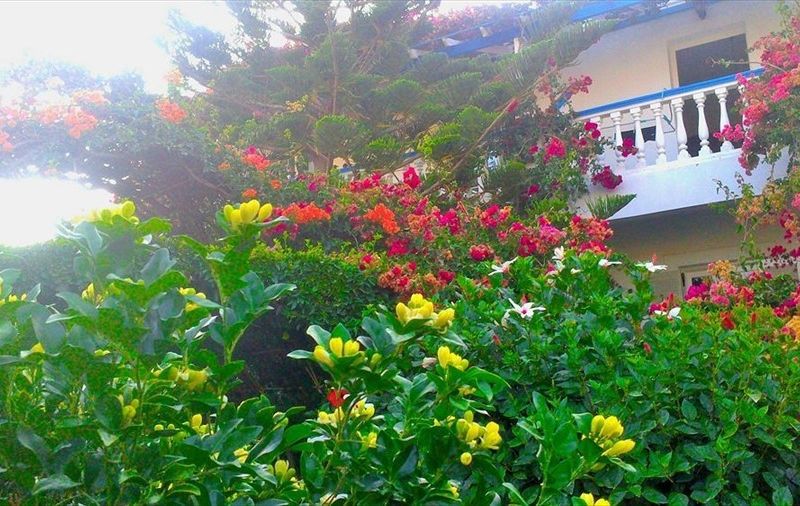 صورة الفندق 19