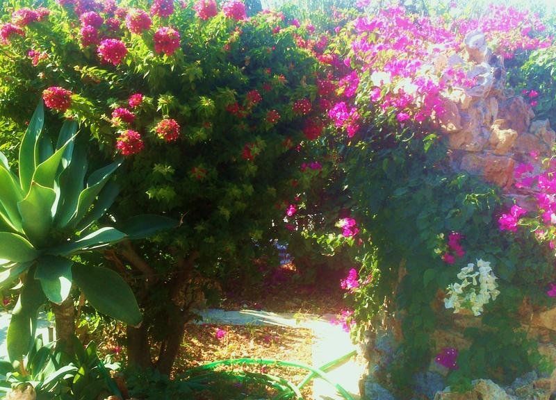 صورة الفندق 20