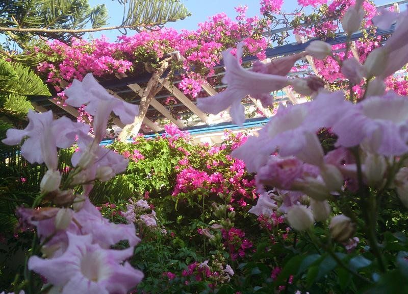 صورة الفندق 22