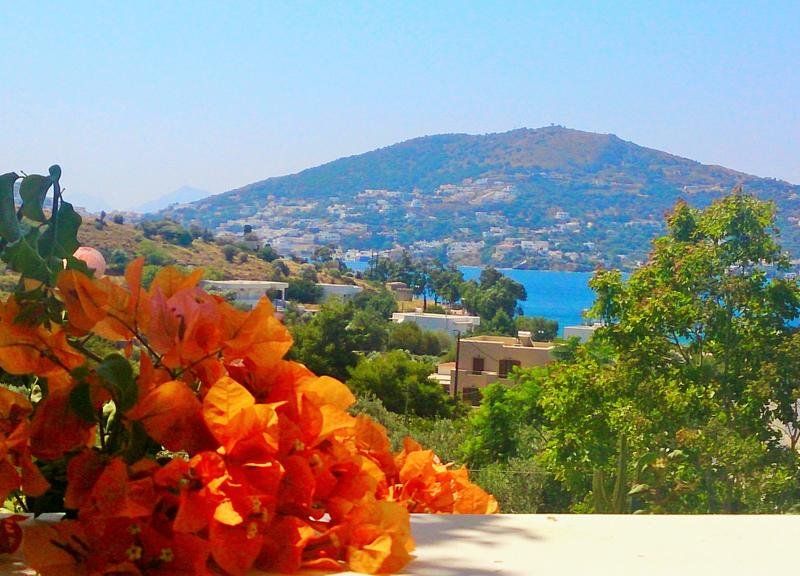 صورة الفندق 23