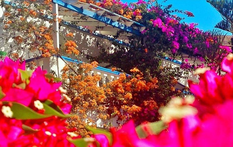 صورة الفندق 5