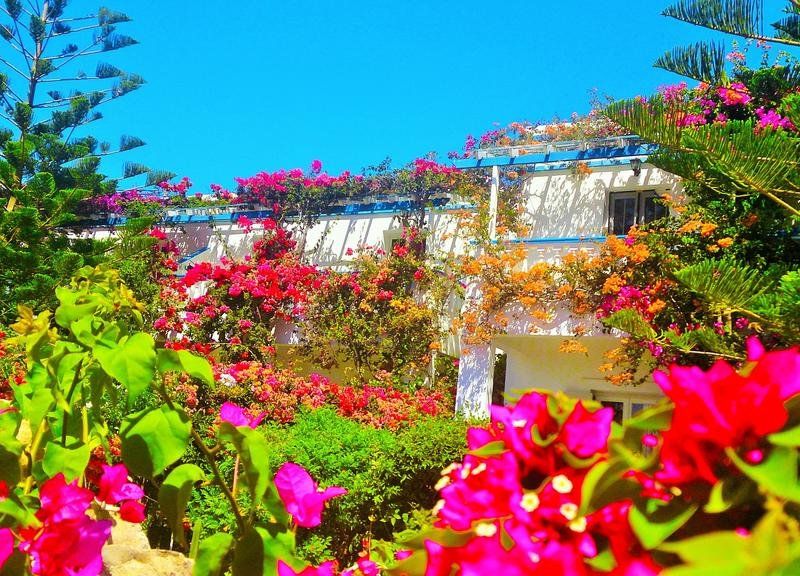 صورة الفندق 6