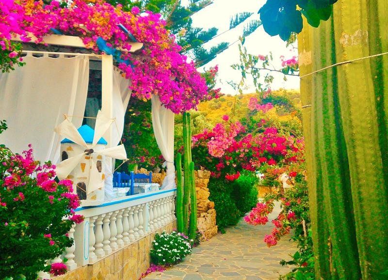 صورة الفندق 7