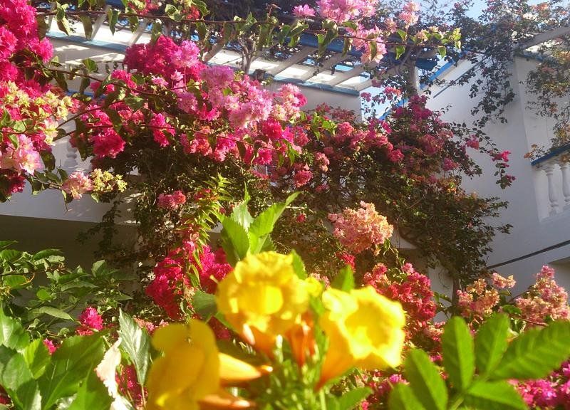 صورة الفندق 8