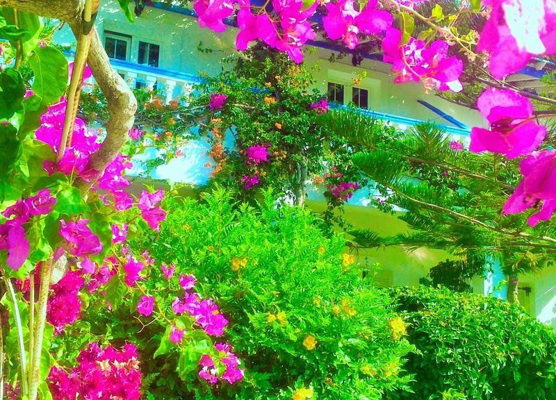 صورة الفندق 9