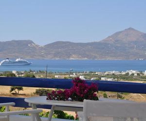 Iliana Olive Branch Adamas Greece