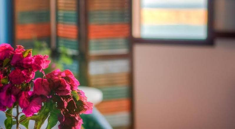 صورة الفندق 15