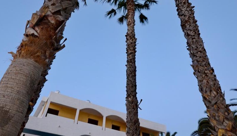 صورة الفندق 19